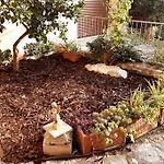 Casa Con Giardino: בית נופש ואראצה