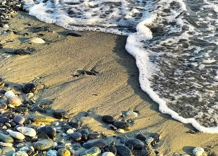 度假居 Casa Con Giardino: 瓦拉泽